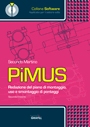PiMUS. Redazione del piano di montaggio, uso e smontaggio di ponteggi II edizione